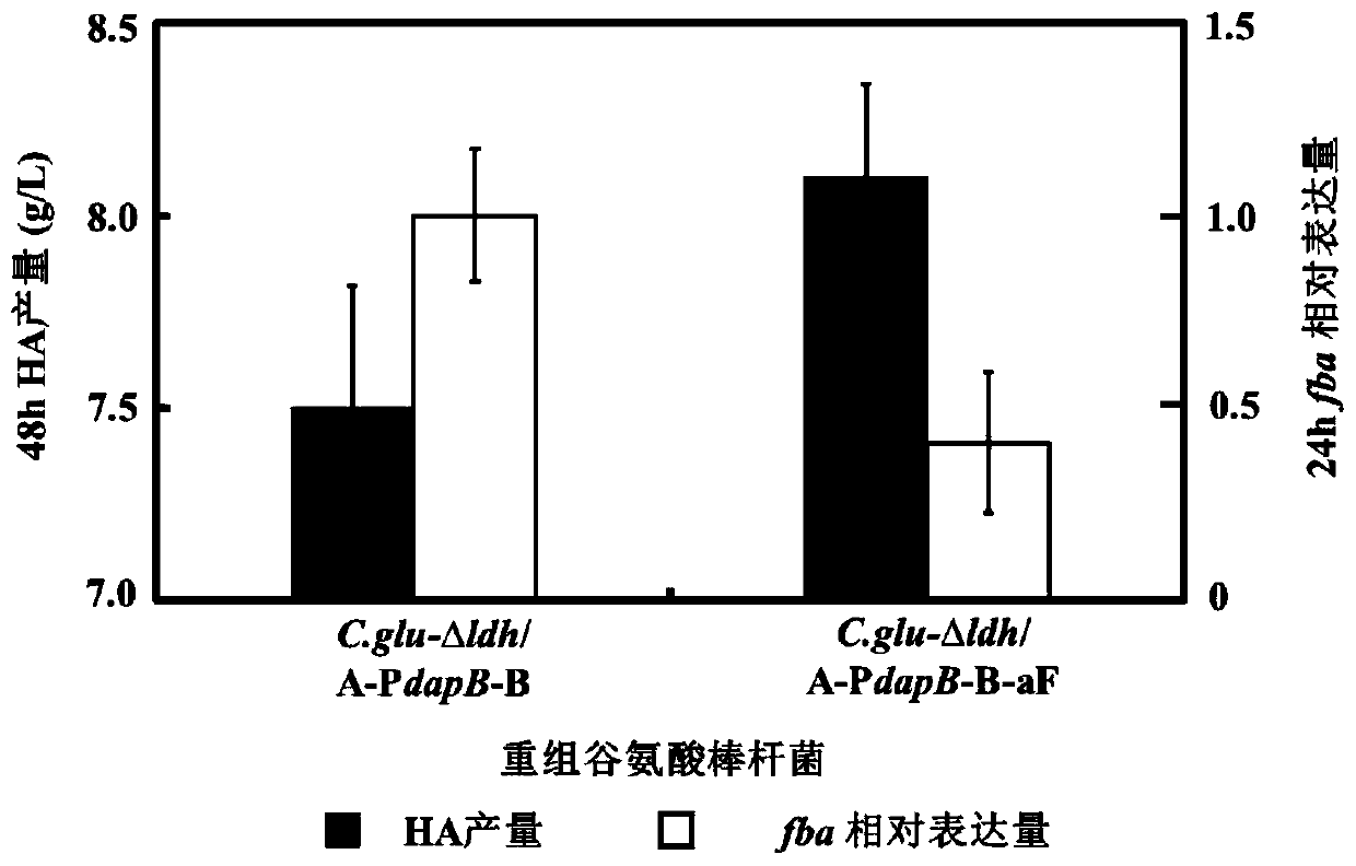 Recombinant bacteria high in hyaluronic acid yield and construction method and application thereof