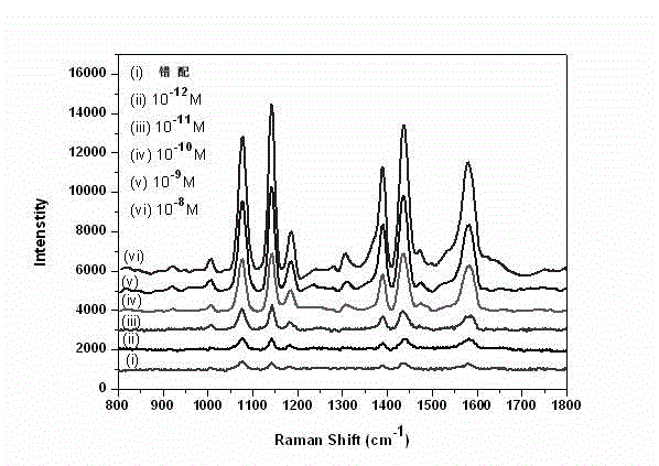 Method for high-sensitivity detection for t-DNA (transfer-deoxyribose nucleic acid) by aid of SERS (surface enhanced Raman spectroscopy) liquid chip