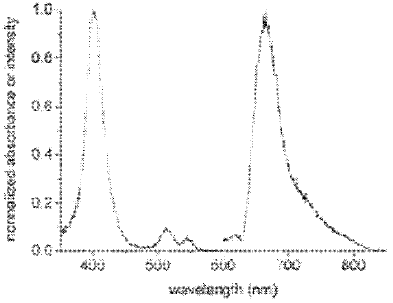 Immunofluorescence test strip component for quickly quantitatively testing troponin-T and test card component manufactured by same and production process of immunofluorescence test strip