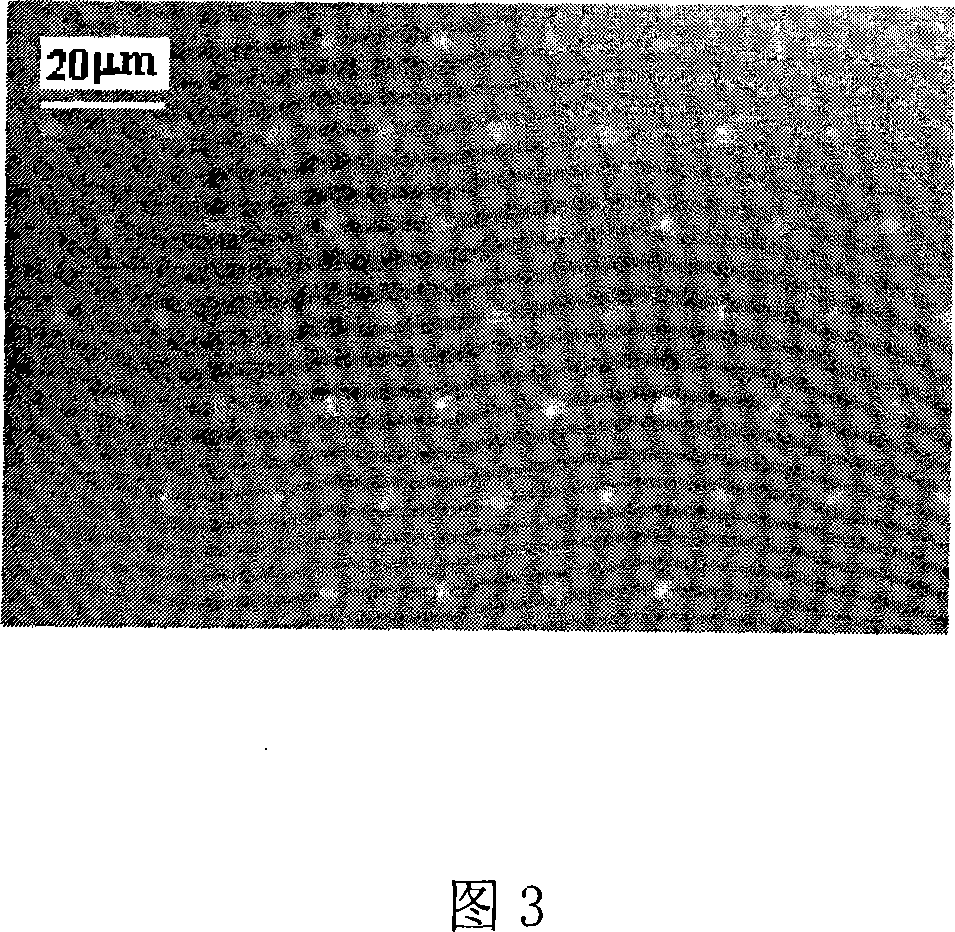 Method and apparatus for ultrashort pulse laser parallel fine machining