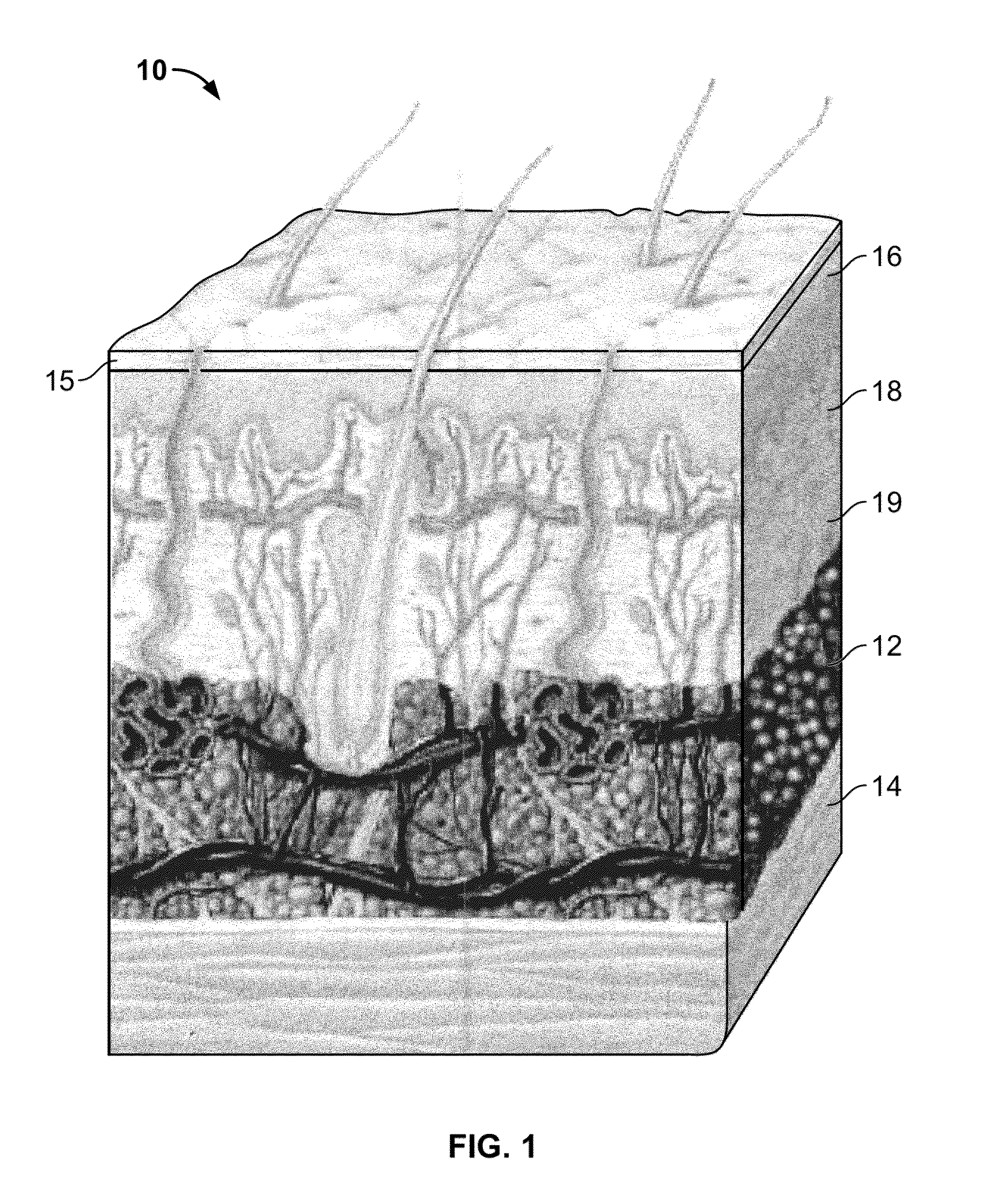 Methods for applying energy to tissue using a graphical interface