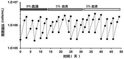 Swine testicular cell strain ST-S suitable for suspension culture as well as acquisition method and application of swine testicular cell strain ST-S