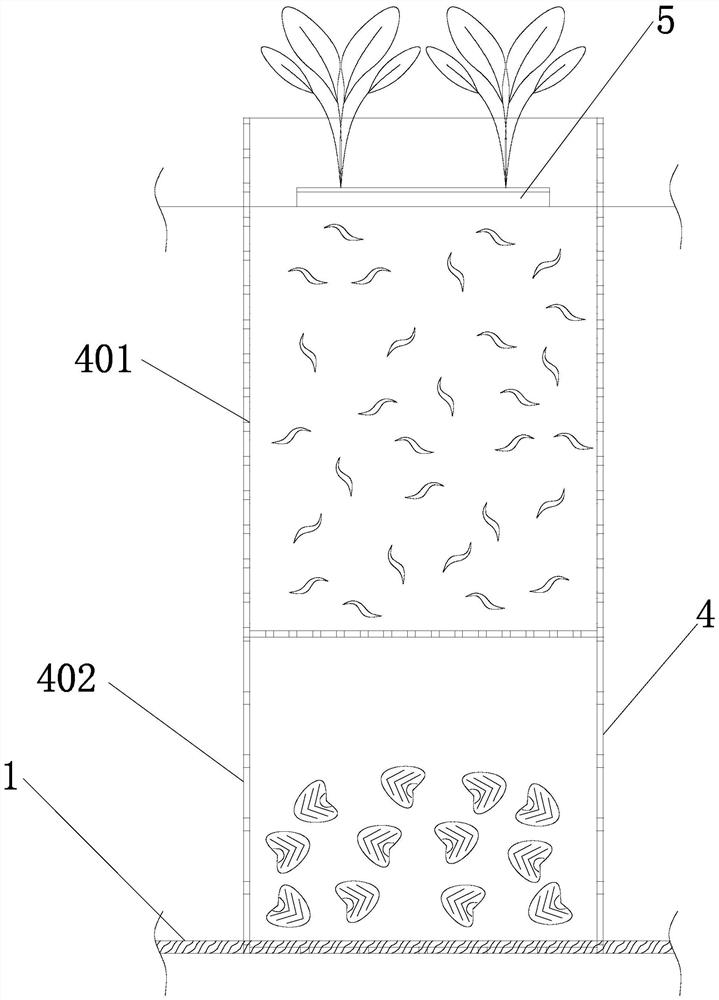 Three-dimensional planting and culturing method for alisma orientalis, whitmania pigra and hyriopsis cumingii