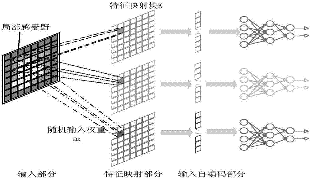 Pulmonary nodule diagnosis method based on local receptive field and semi-supervised depth self coding