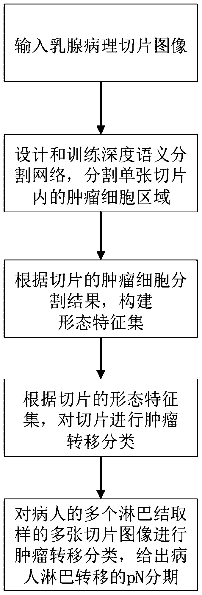 Automatic classification method and system for breast cancer pathological sections