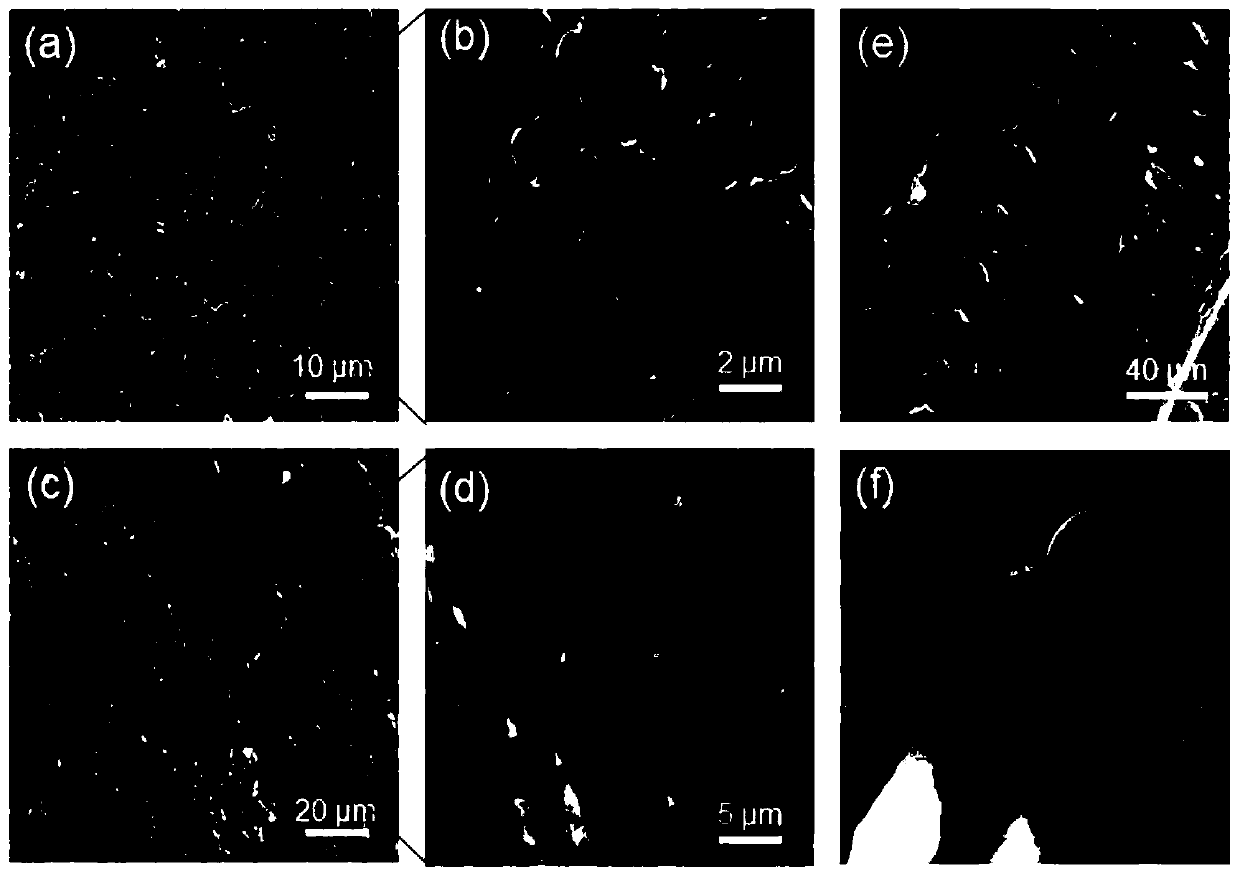 HAp-CSA-SF composite gel material, and preparation method and application thereof