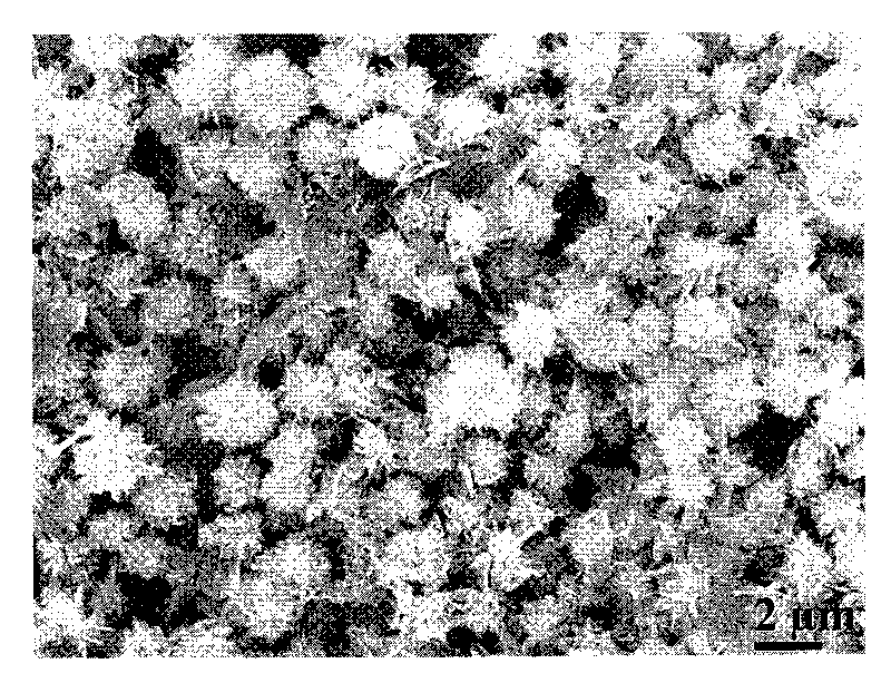 Calcium phosphate nano-structure hollow microsphere and preparation method thereof