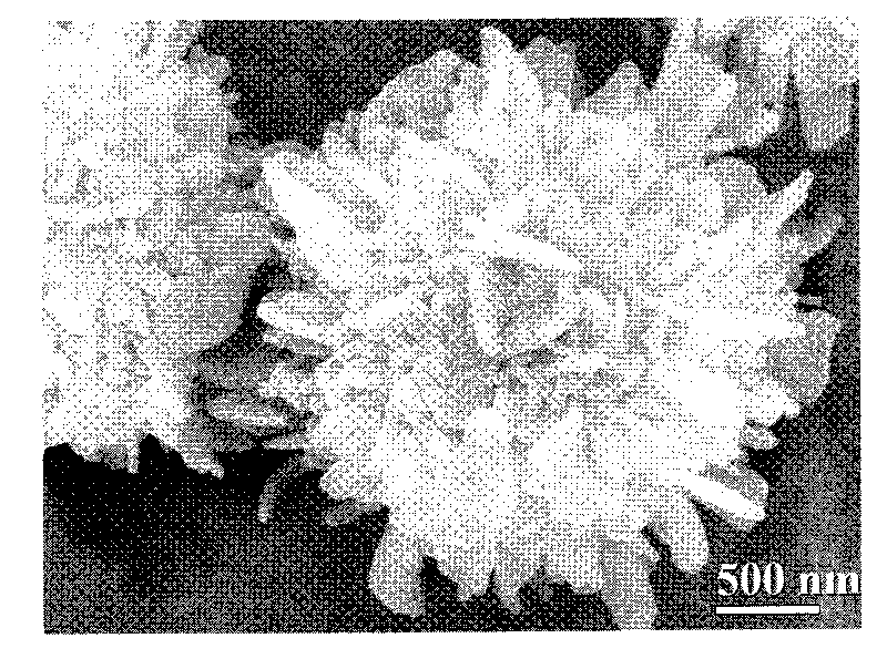 Calcium phosphate nano-structure hollow microsphere and preparation method thereof