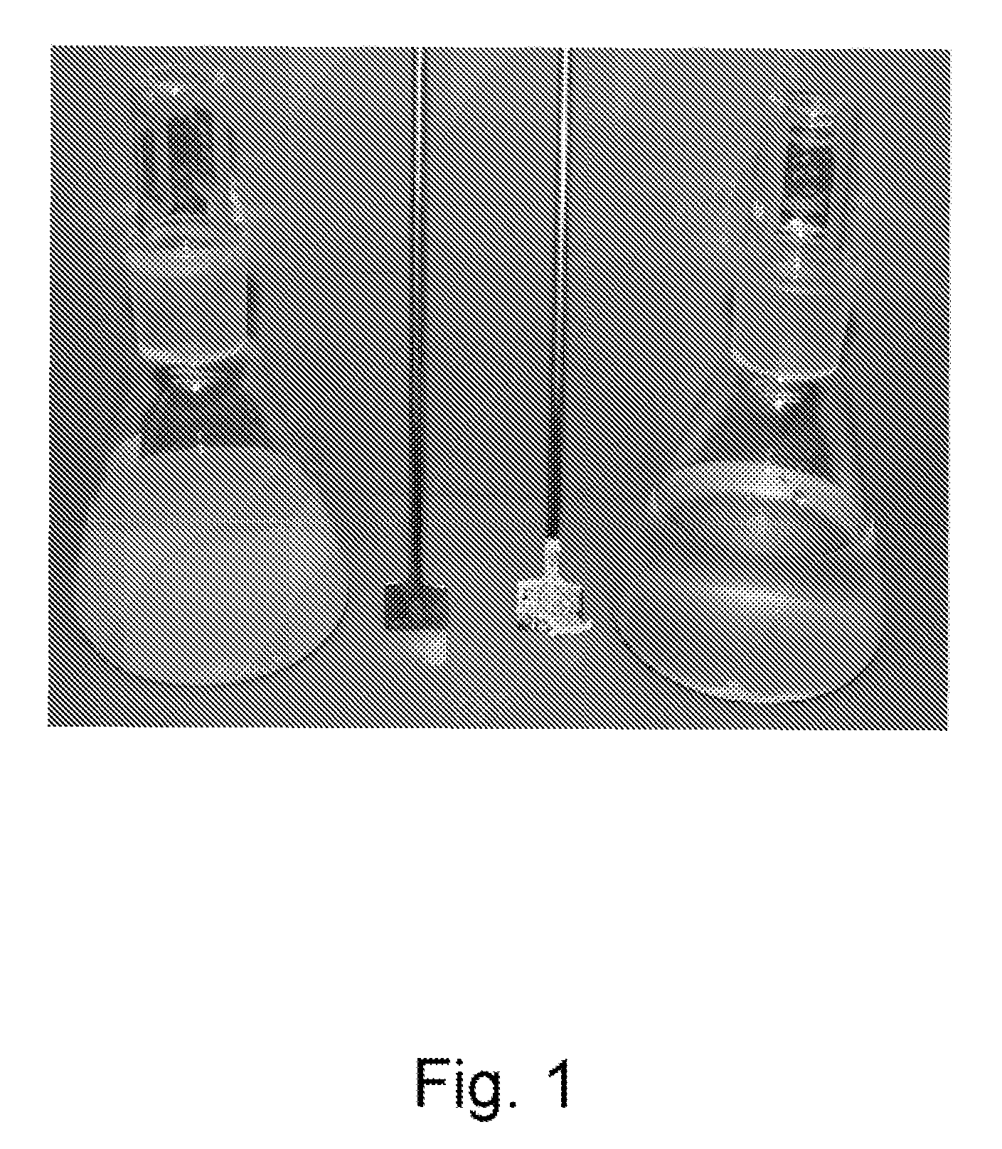 Enzymatic hydrolysis of a polymer comprising vinyl acetate monomer