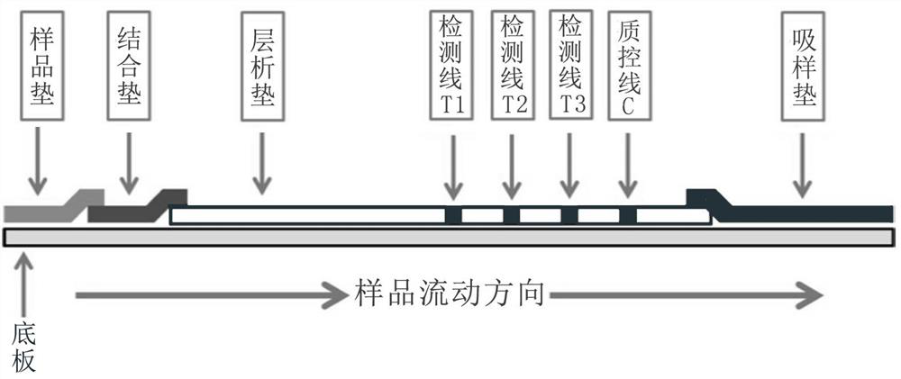 A joint screening test strip for early esophageal cancer