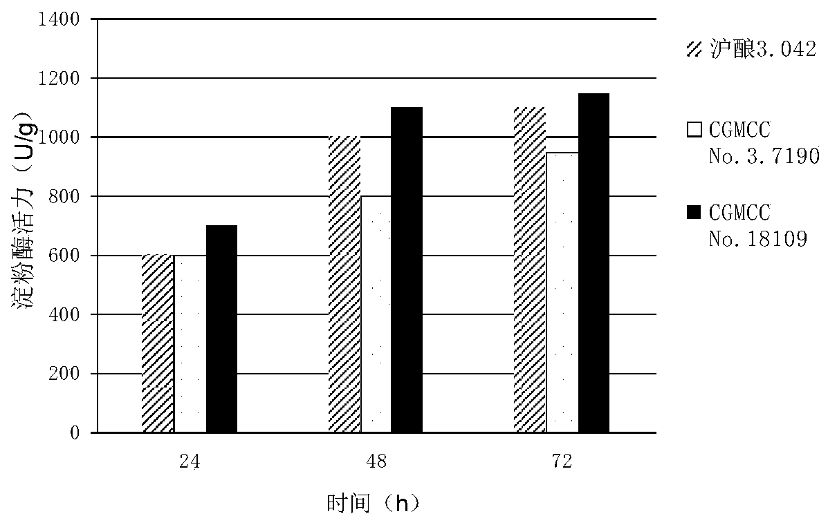 Orange peel pomace leavening agent and orange-peel-pomace-contained fermented feed for sow