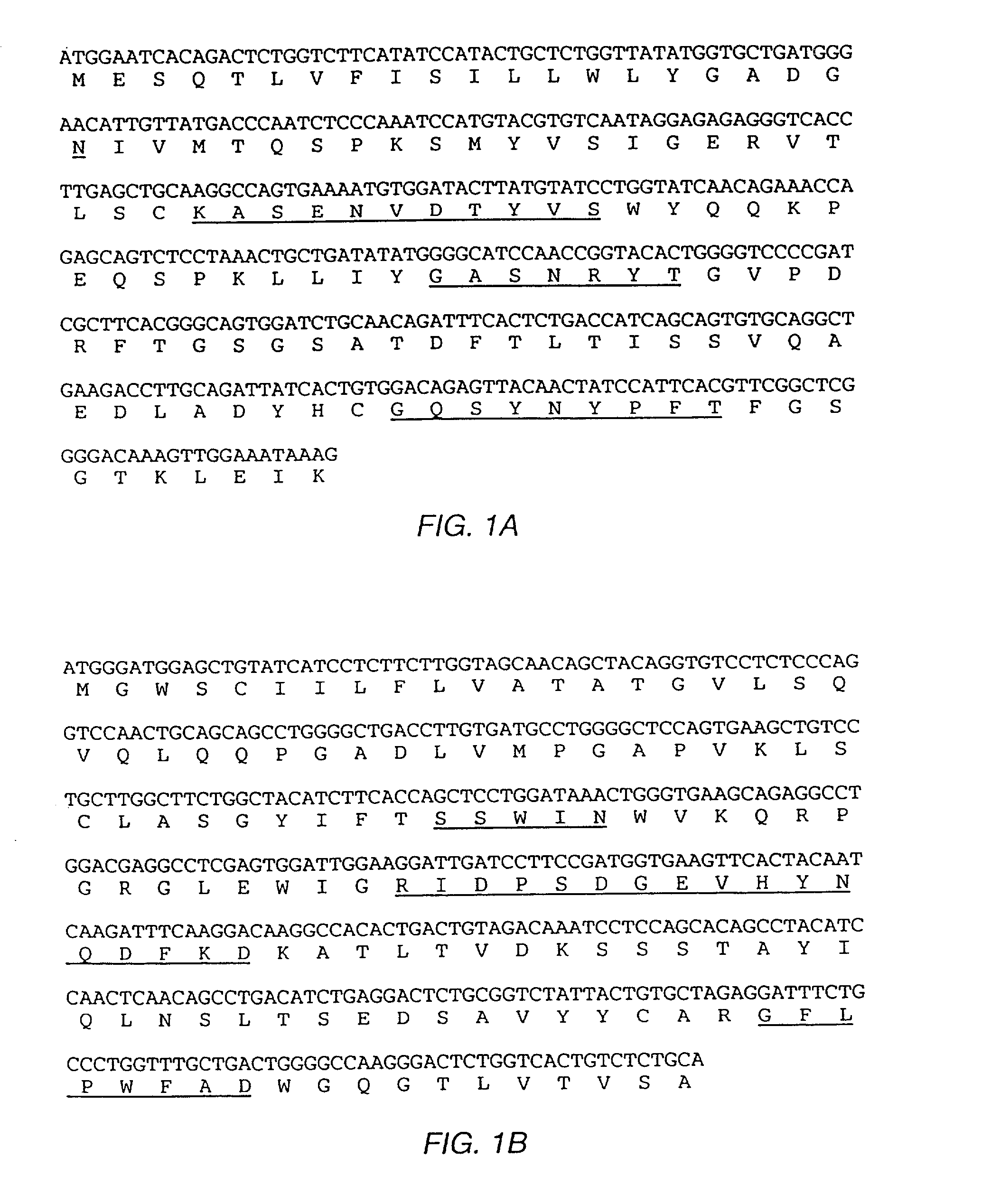 Humanized antibodies to gamma-interferon