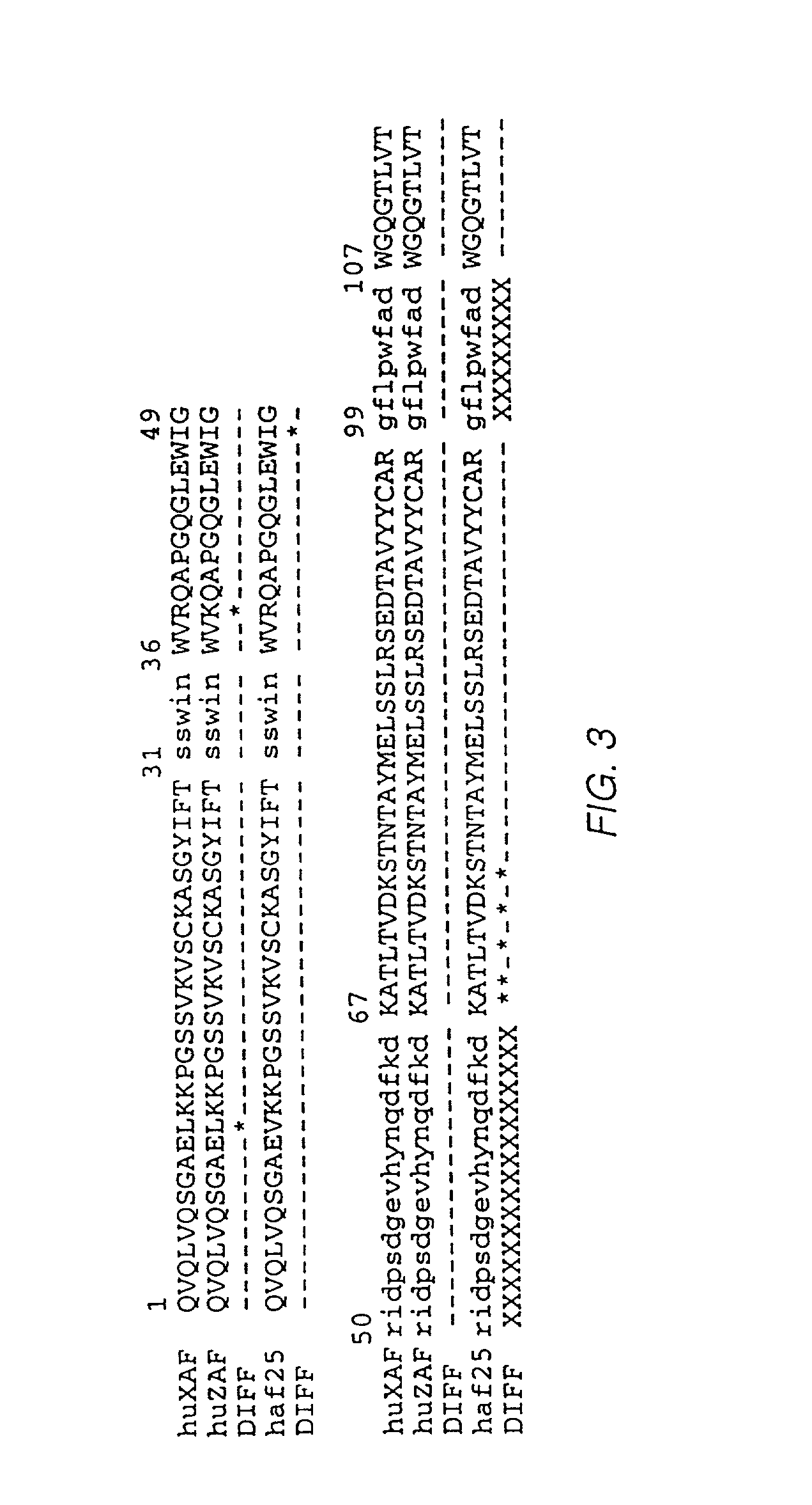 Humanized antibodies to gamma-interferon