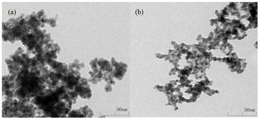 Functionalized Fe3O4 nano-particle and preparation method and application thereof