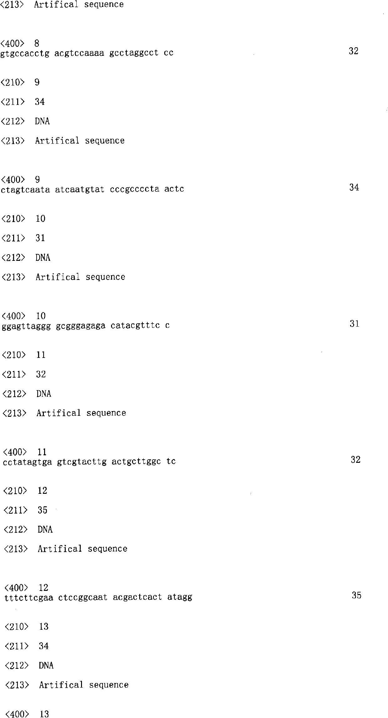 Swine promoter protein expression vector and construction method and application thereof