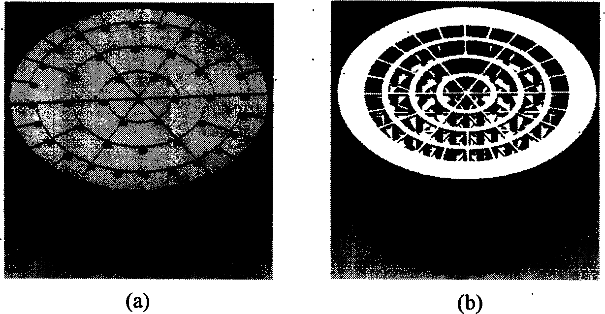 Photocureable rapid shaping indirect manufacturing method for controllable microtube structure stand