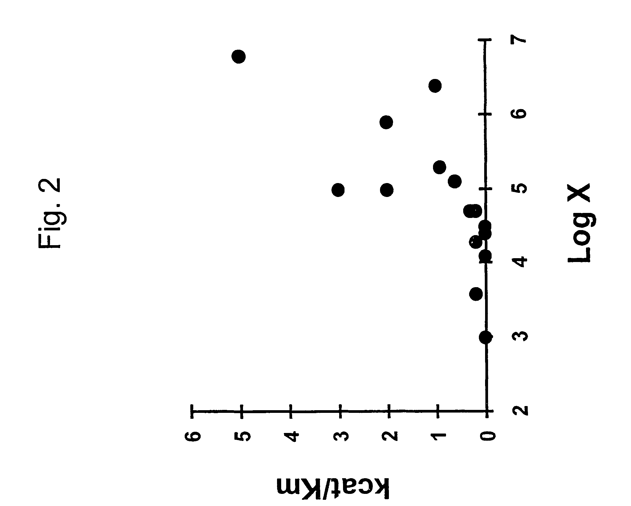 Selection of target sites for antisense attack of RNA