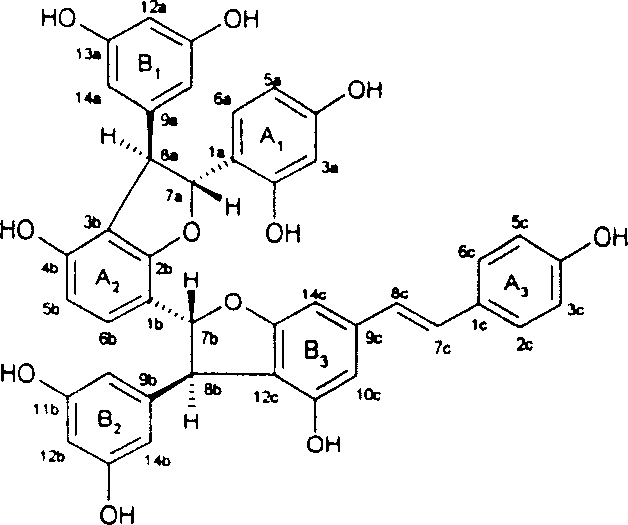 Resveratrol oligo cattail compounds, its manufacturing process, pharmaceutical combination and uses thereof