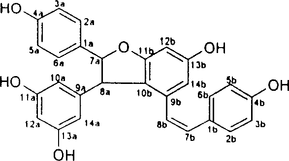 Resveratrol oligo cattail compounds, its manufacturing process, pharmaceutical combination and uses thereof