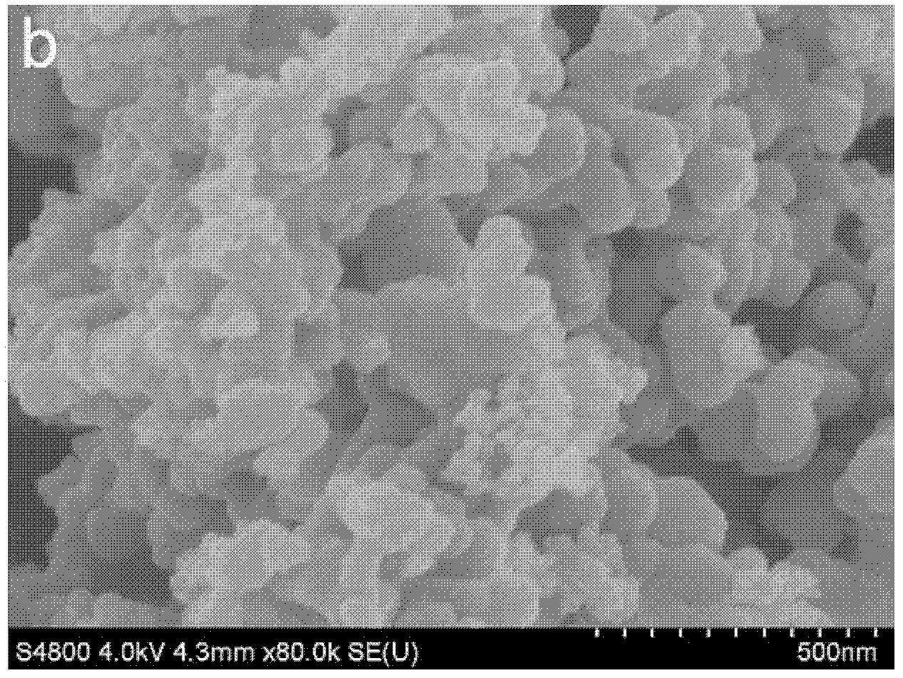 Preparation method for nano titanium dioxide lithium ion battery cathode material