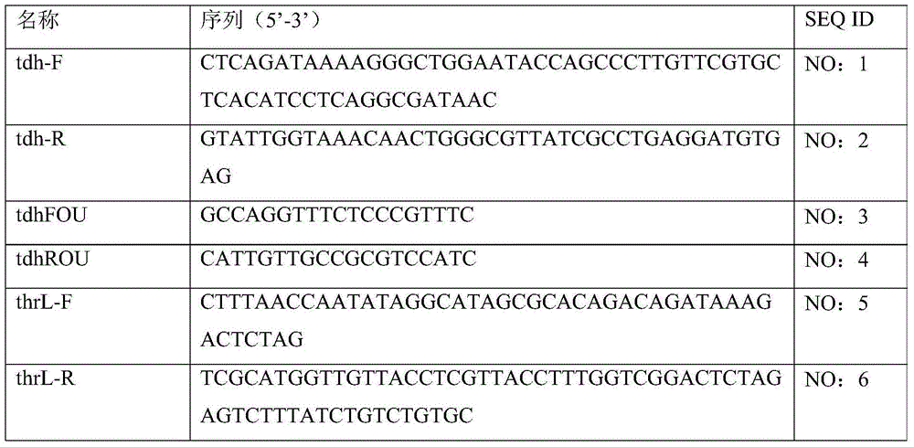 L-threonine gene engineering producing strain