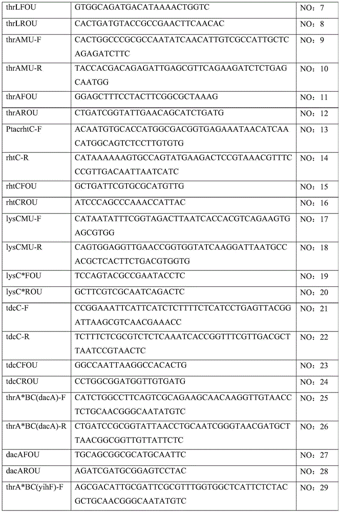 L-threonine gene engineering producing strain