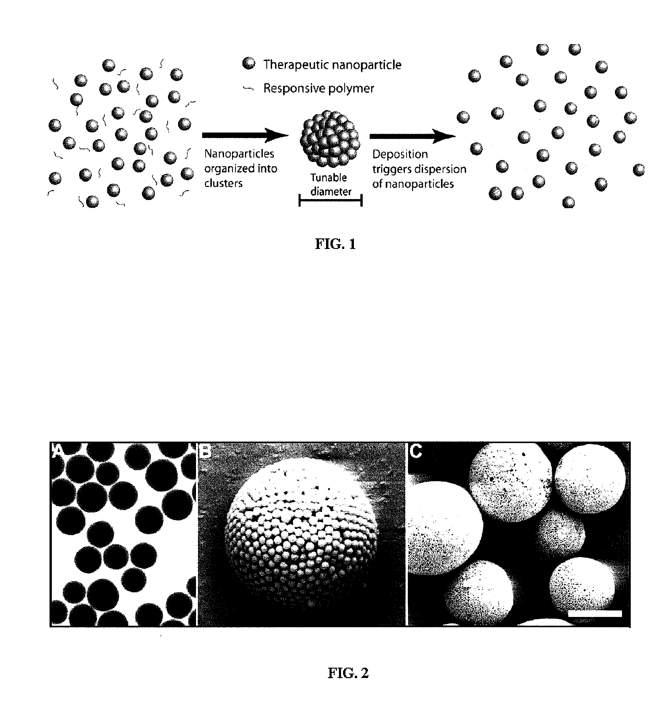 Nanoclusters for delivery of therapeutics