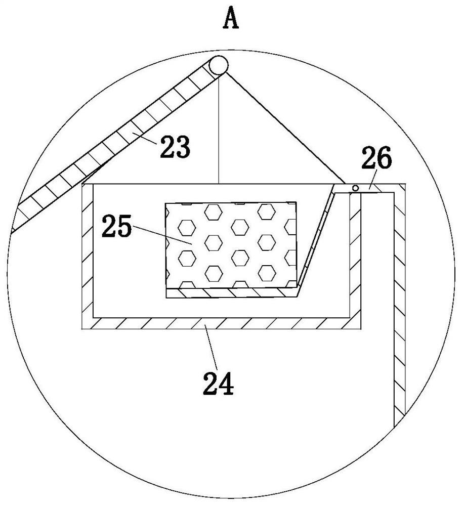 A kind of camellia cultivation method