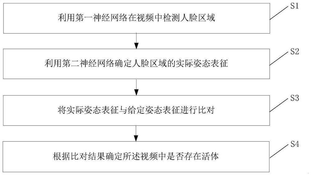 Living body detection method and equipment