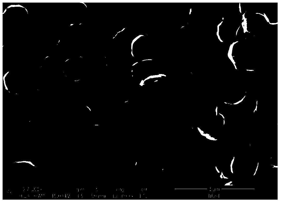 Preparation method of high-purity and high-crystallinity titanium disulfide nanometer plates