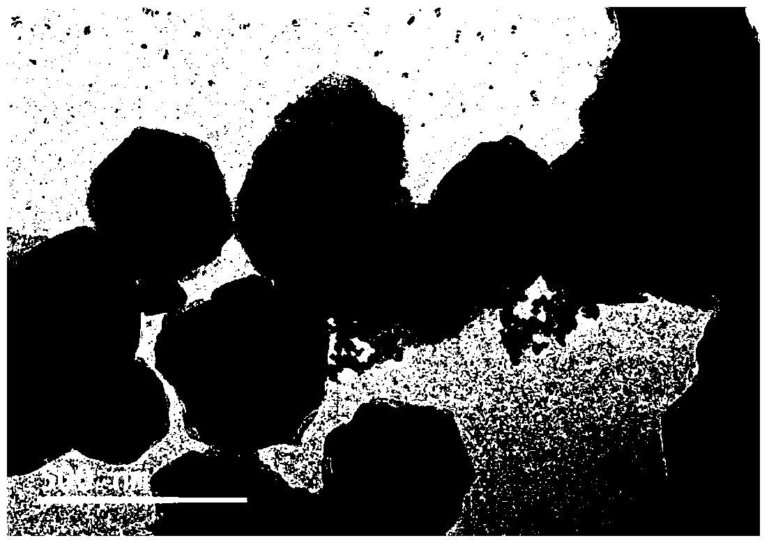 Preparation method of high-purity and high-crystallinity titanium disulfide nanometer plates