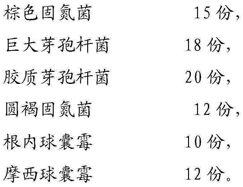 Complex bacterium preparation for fixing nitrogen, solubilizing phosphorus and potassium and rooting and preparation method thereof