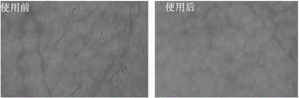 Mesenchymal stem cell (MSC) derivative liquid and preparation method thereof as well as application to cosmetics