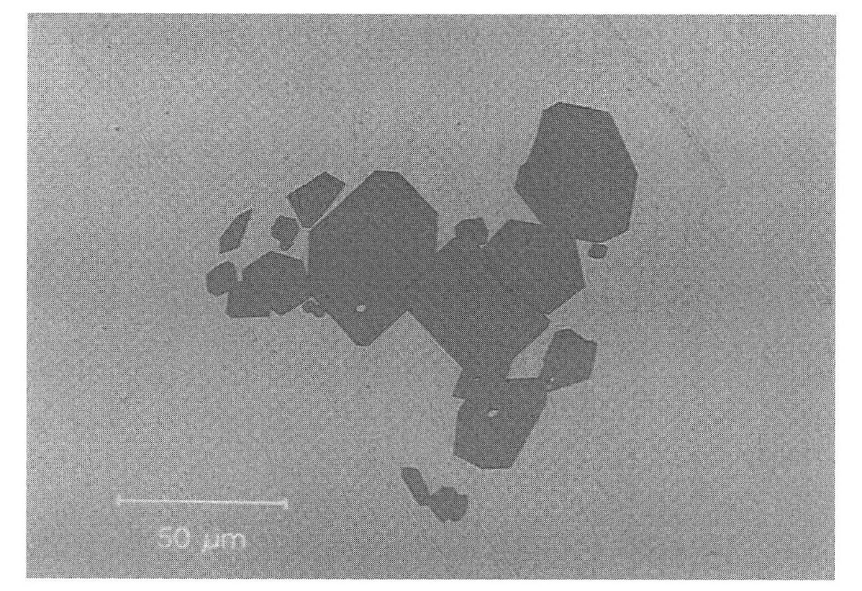 Device and method for accurately sampling plating solution in plating pot in hot plating production line