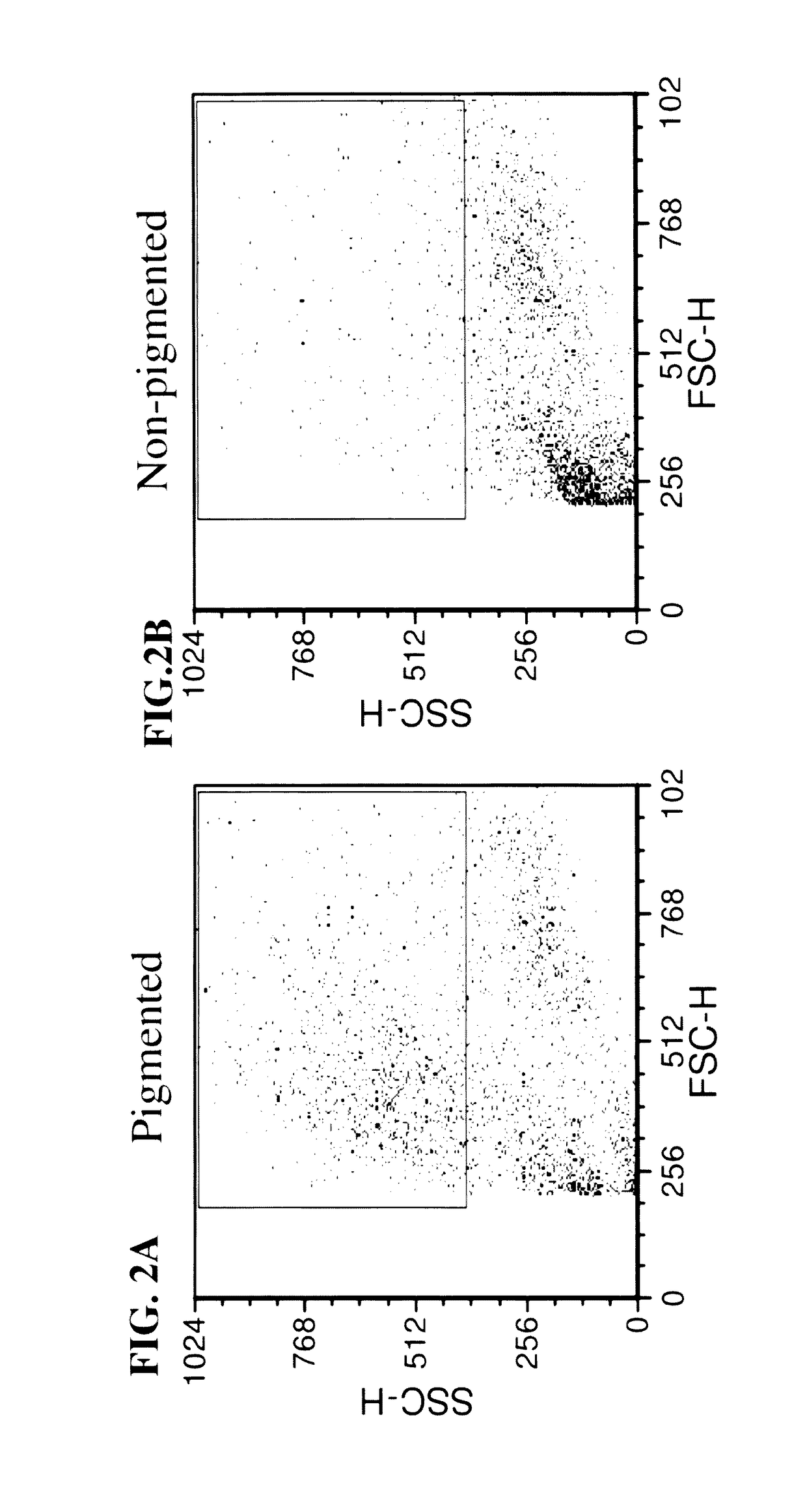 Methods of selecting retinal pigmented epithelial cells