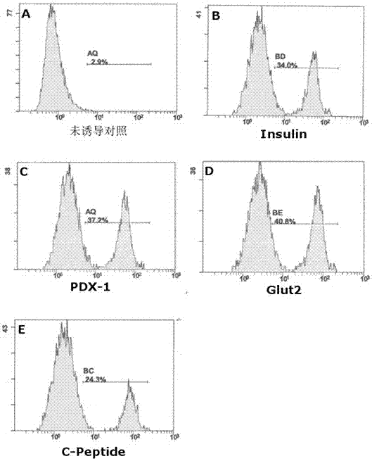 A kind of induction medium and method for inducing human adipose-derived mesenchymal stem cells to generate insulin-secreting cells