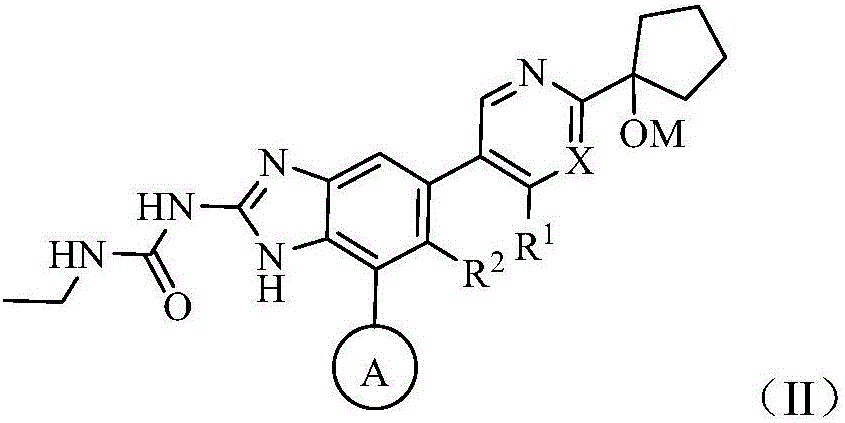 Monocycle gyrase and topoisomerase IV inhibitor