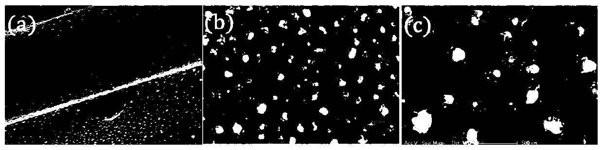 Preparation method of in-situ defect modified Co9S8-porous nitrogen-doped carbon electrode