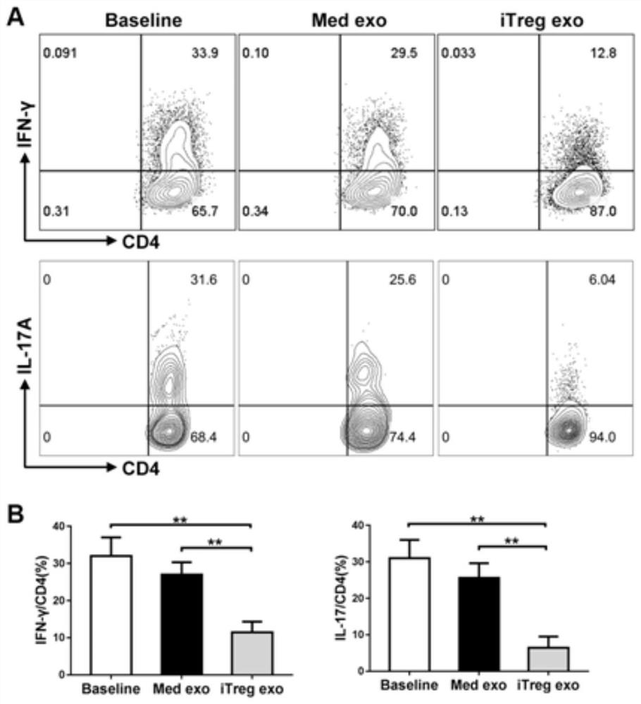 Application of exosomes derived from inducible regulatory T cells