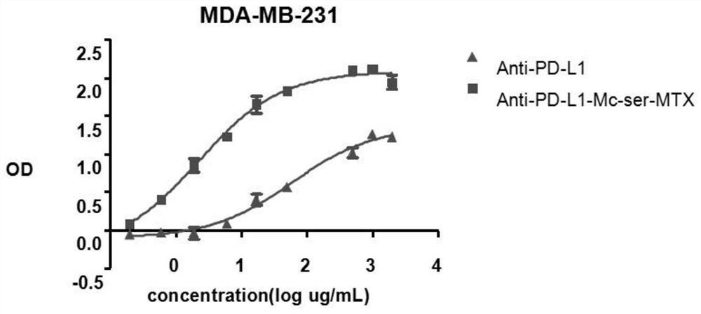 Dual specificity dimer, dual specificity dimer-drug conjugate and application of dual specificity dimer and dual specificity dimer-drug conjugate