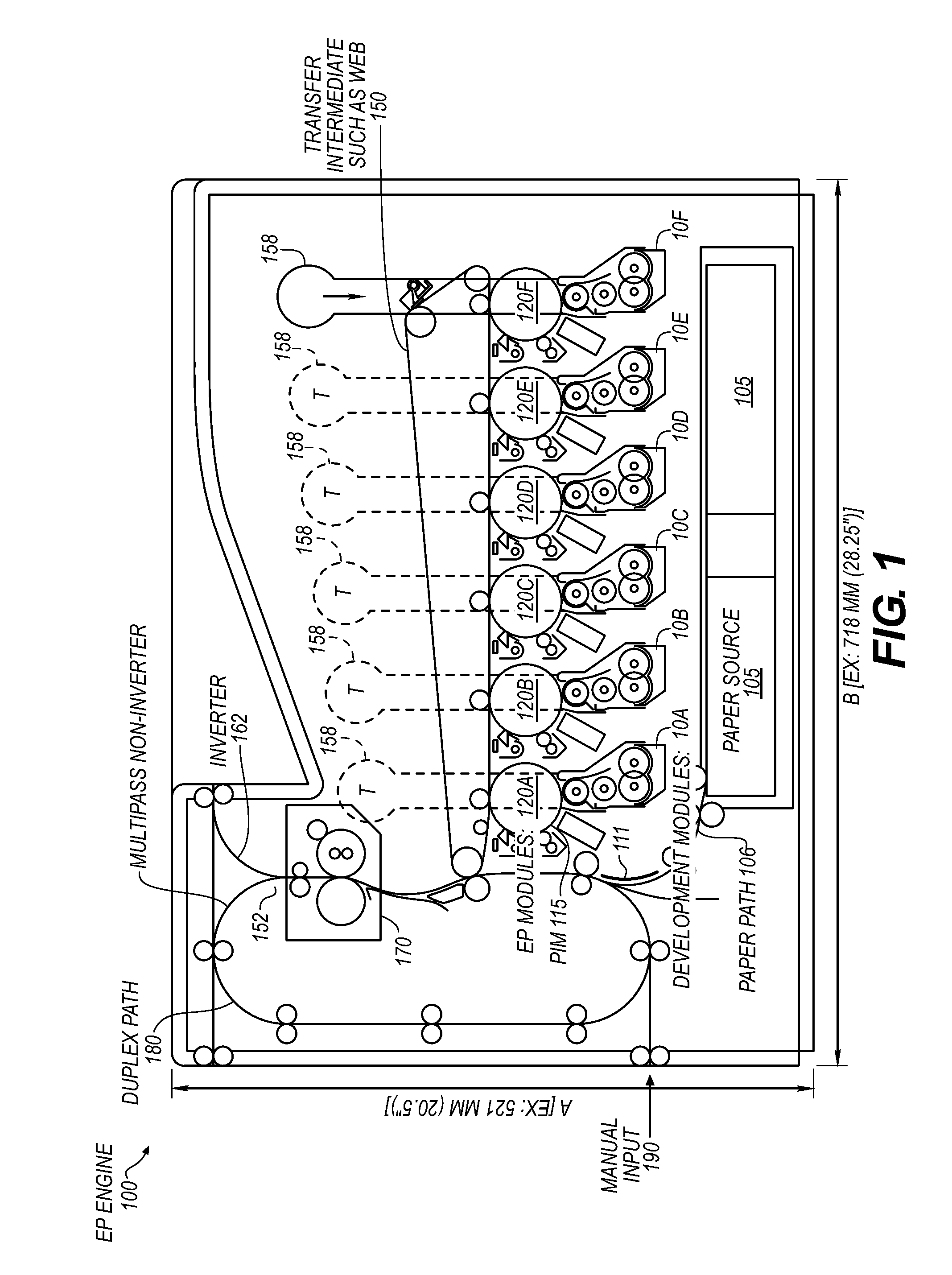 Feed auger with paddles