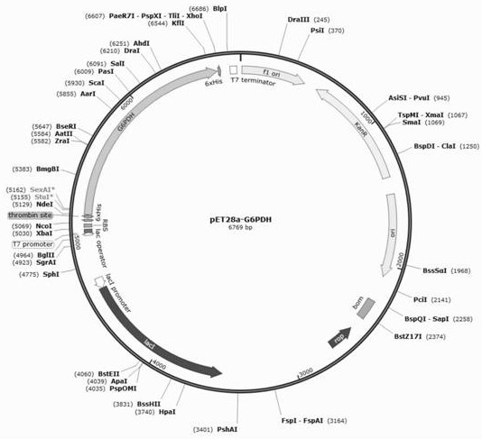 Bacteria screening reagent, screening method, kit and application