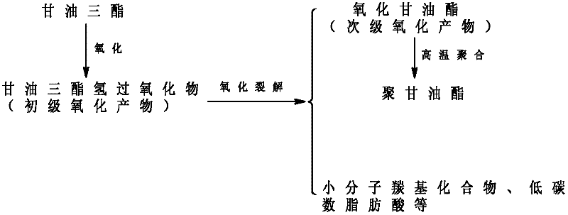 Method for isolating and detecting oxidized triglyceride (ox-TG) of edible vegetable oil and application of the method