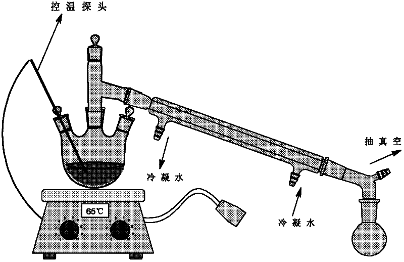 Method for isolating and detecting oxidized triglyceride (ox-TG) of edible vegetable oil and application of the method