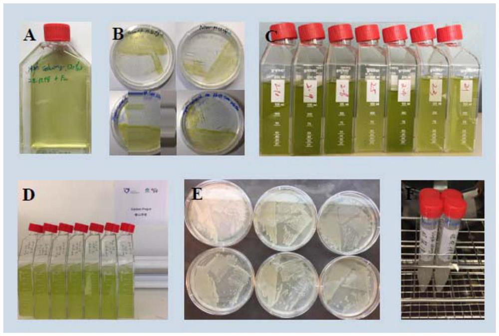 Method for treating salt-containing wastewater