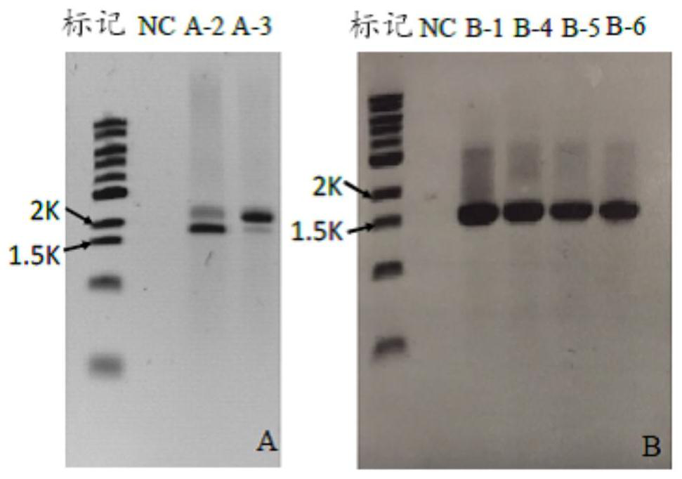 Method for treating salt-containing wastewater