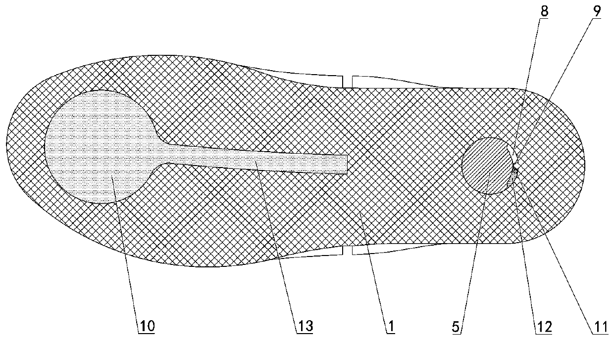 A snowshoe with snow removal function