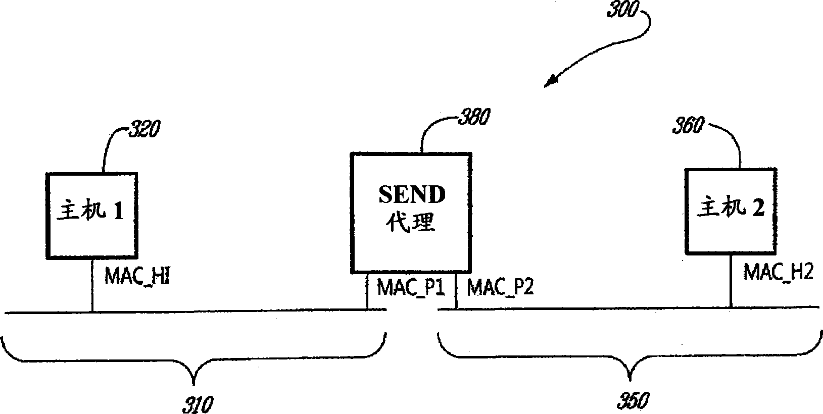 Secure neighbor discovery between hosts connected through a proxy