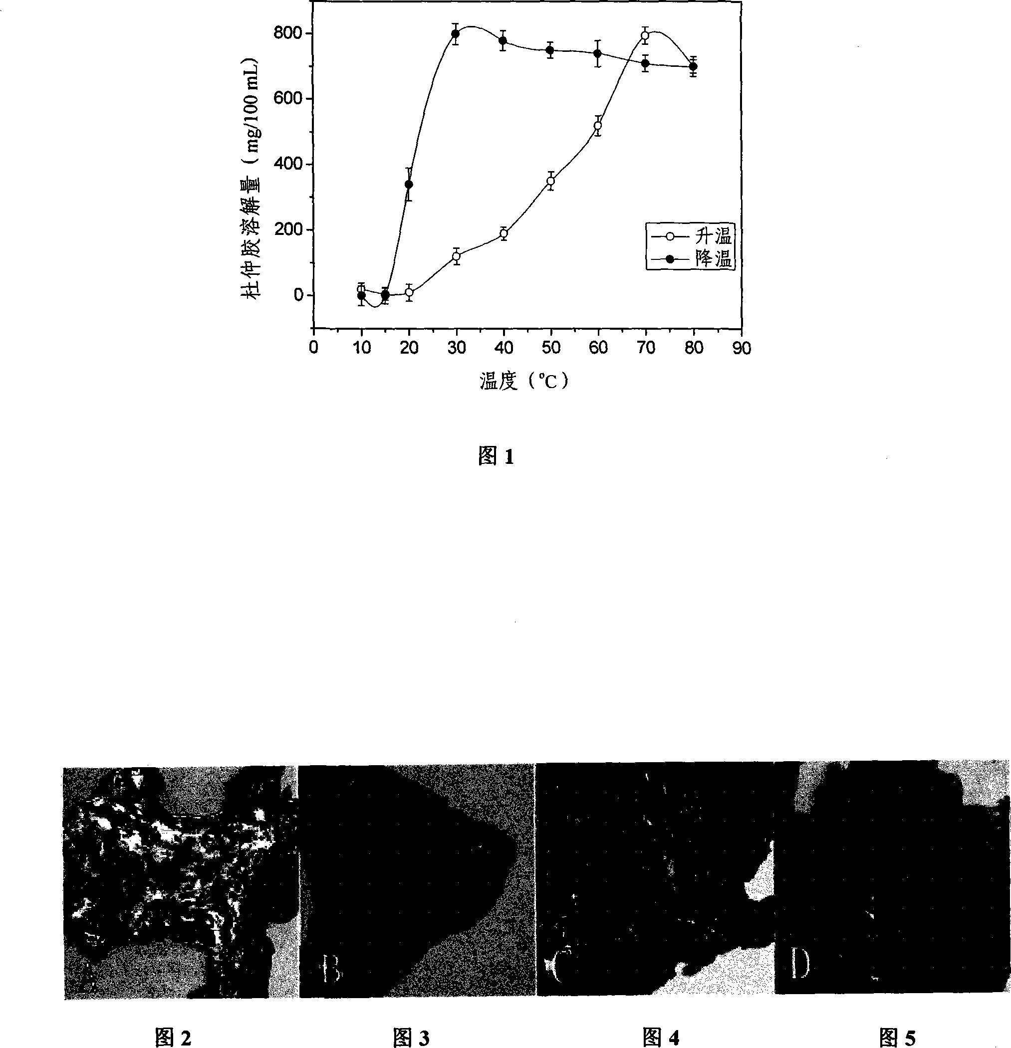 Method for extracting filament gutta-percha from eucommia leaf and skin