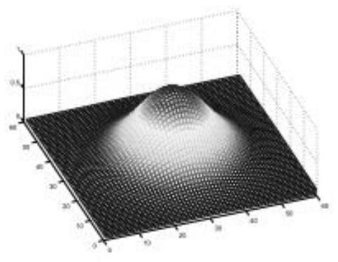 Medical image robust watermarking method based on Gabor-DCT